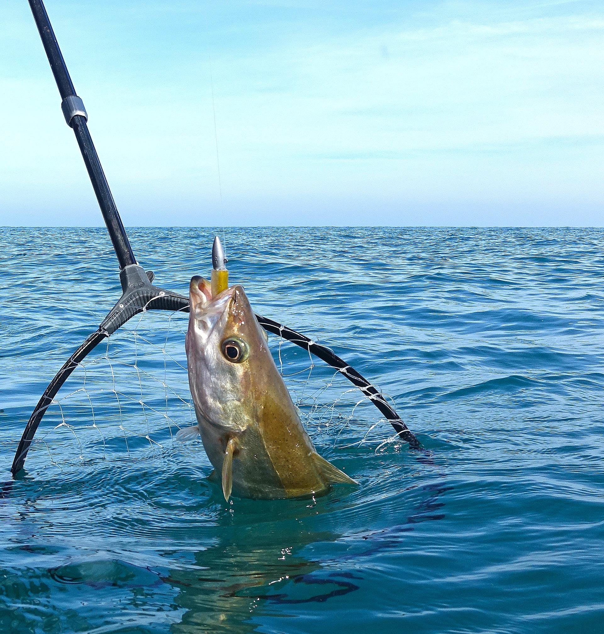 RDV Pêche en mer